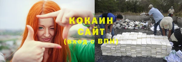 стафф Богданович