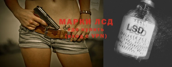 стафф Богданович