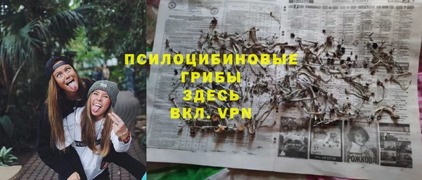 стафф Богданович