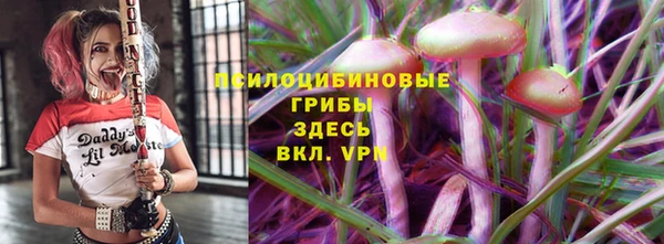 крисы Бронницы