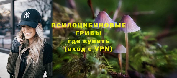 мескалин Богородицк